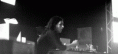 /album/fotogaleria/a55001445-gif/