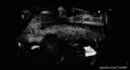 /album/fotogaleria/tumblr-mj5t12rova1s7sl9no1-500-gif/